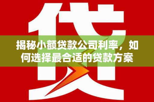 狮子山揭秘小额贷款公司利率，如何选择最合适的贷款方案