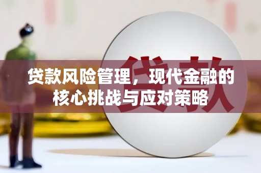 掇刀贷款风险管理，现代金融的核心挑战与应对策略