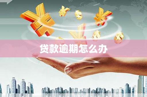 芦竹贷款逾期怎么办