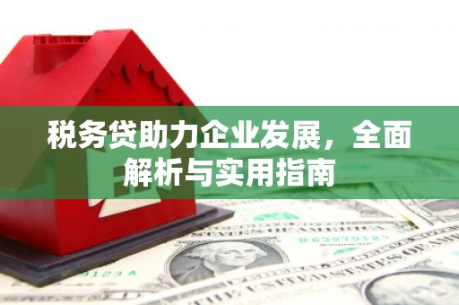 攀枝花税务贷助力企业发展，全面解析与实用指南