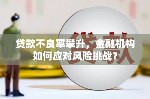 盐池贷款不良率攀升，金融机构如何应对风险挑战？