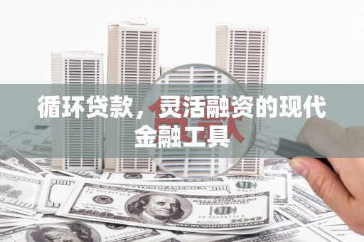 米林循环贷款，灵活融资的现代金融工具