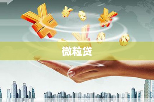 毕节微粒贷