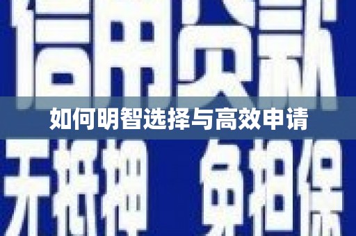 晋江如何明智选择与高效申请
