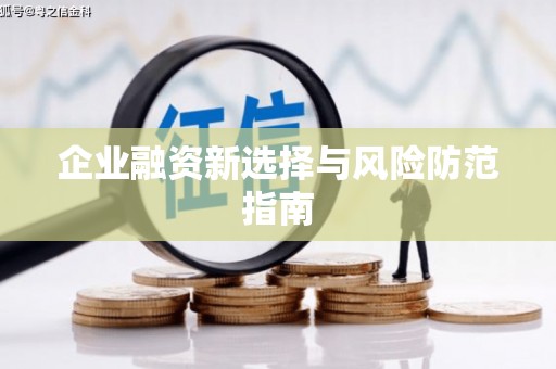 陆川企业融资新选择与风险防范指南