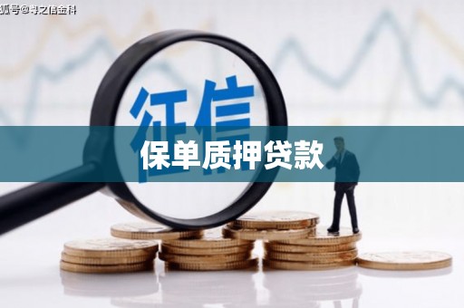 颍上保单质押贷款