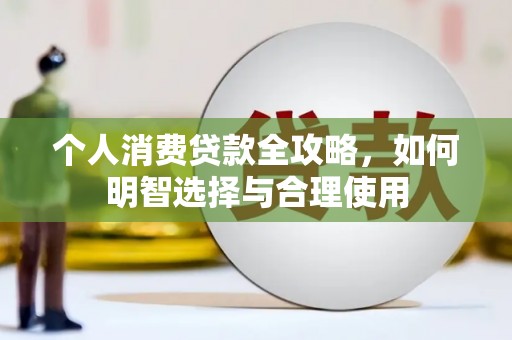 大厂个人消费贷款全攻略，如何明智选择与合理使用